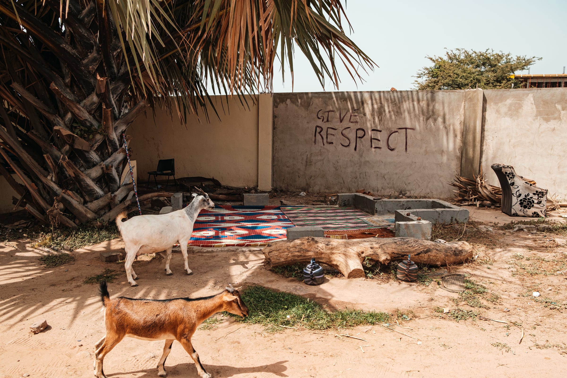 Give Respect Goats